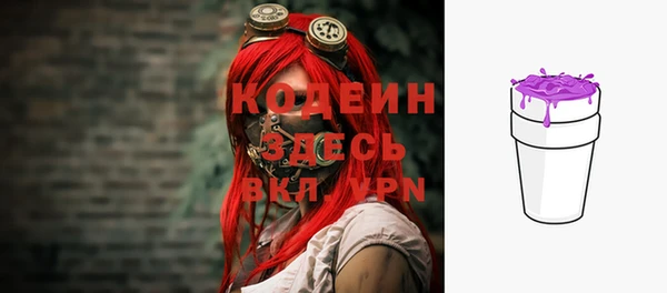 индика Кулебаки
