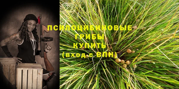 ешки Долгопрудный