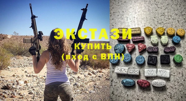 индика Кулебаки