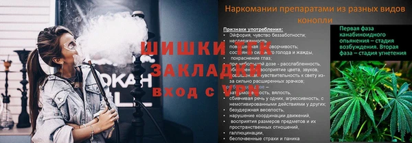дживик Коряжма