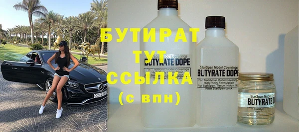 индика Кулебаки