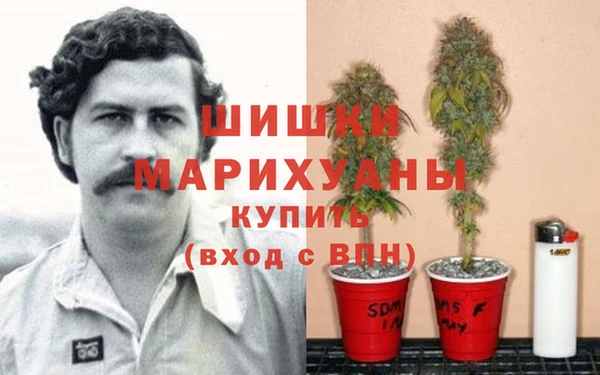 амф Корсаков